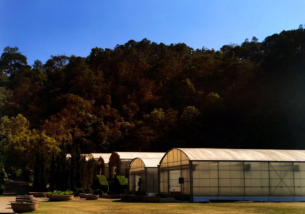 AGRICULTURE & FARMHOUSES